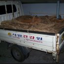 충청도건강원