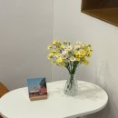 삼일여관 | 가평신상숙소 윤우여관 2박3일 후기