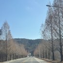 안성시장 | [안성 할머니네] 촌캉스 2탄 _ 촌캉스 펜션 안성 할머니네 텃밭 바베큐 후기, 중앙시장, 홍게짬뽕