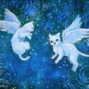 코코넨네 이미지