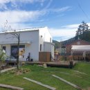 나무늘보,요정 이미지