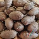 효자농장 이미지