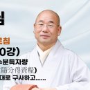 설우스님 법성게 강의 10 무연선교 착여의 귀가수분 득자량 이미지