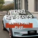 핑크블루 - 익산시 동서로43길 29 | 강남랩핑 테슬라 랩핑 OBEL MATTE PINK BLUE 매트 핑크 블루 전체랩핑 후기