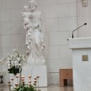 26년 7월 17일(흐림:토)성당 미사 보다 이미지
