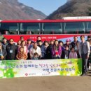 남도(80) 이미지