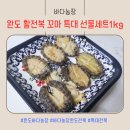 완도전복종자영어조합법인 | 완도전복직거래 바다농장 전복선물세트