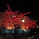 엑스포홍보관 이미지