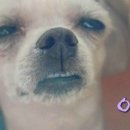 엠에이치핏 이미지