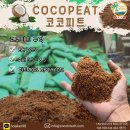 상토(床土, Bedding soil)의 주재료 : 코코피트(cocopeat ; 코코토탄) 이미지