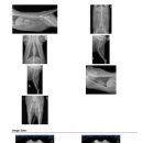 서초이음동물병원 이미지