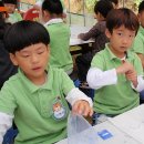 금부초병설유치원 이미지