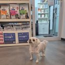 하단오거리 동물의료센터 이미지