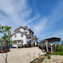 아쿠아 마린 펜션 | 내돈내산 포항 펜션 아쿠아마린펜션 야외수영장 오션뷰 후기