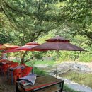 이집이 좋겠네 이미지