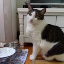 간식시간 이미지