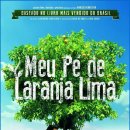 오렌지 하우스 이미지