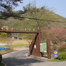 고란길(길안면) 이미지