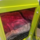 소울독 | 천안애견미용 소울독 따뜻하게 노령견 맡기고 온 후기