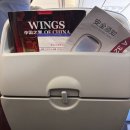 [파리-로마] 파리in 로마 out 에어차이나 탑승 후기 (베이징경유, 베이징공항, 수하물무게, 기내식 등)