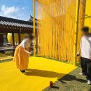 뽑기펑 | [경주여행] 경주 맥심가옥 팝업스토어 방문 후기, 스탬프 투어 소소팁