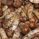 거창군 산림조합 이미지