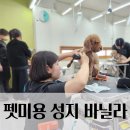 바닐라애견미용학원