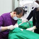 순천치과기공소 이미지