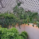 거제식물원 이미지