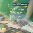 춘천 서브웨이 주문방법 평일 방문 후기 및 웨이팅(ft. 서브웨이 메뉴추천 꿀조합)
