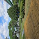 메디팜요양병원 이미지