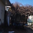 중마 그라운드골프장 | 순천 파크골프장 방문시 파크골프채 대여 가격