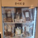 문어의꿈무안 이미지