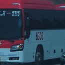 뉴삼성관광여행사