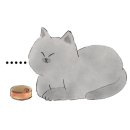 해온동물의료센터 이미지