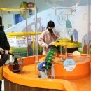 인천어린이과학관 이미지