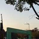 영광대교화장실 | 2025 JTBC 서울 마라톤, 장경인대 러너의 첫 풀코스 후기