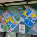 정선애팬션 이미지