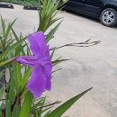 우창농장 이미지