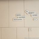 놀로동물행동클리닉 | 놀로스퀘어 설채현 행동클리닉 상담