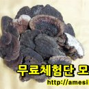 황보한의원 이미지