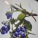 즐거운 색연필화 이미지