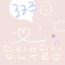 햇살이🌞#9::임신 후기(5)/37주 임산부 일상🤰🏻