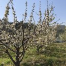 청구농장 이미지