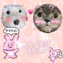 산들해 | &#39; 청주 송파점 / 한정식 맛집 , 반찬무제한 &#39; 산들해 송파점 솔직한후기