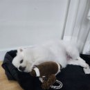 느티나무요정들 펜션 이미지