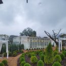 카페바트 이미지