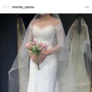 마리스포사앤아뜰리에레이나 이미지