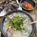용인순대국집 | 용인 수지 탑골순대국 | 솔직후기 뚝배기 넘치는 고기 양과 주차 꿀팁!