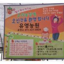 유영수 농장 | [논산-유영농원-전편] 딸기따기체험 - 딸기 먹고 배터지는 줄 알았어요~~~